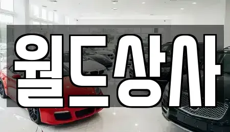 경기 안성시 보개면 중고차매매 전문 월드상사