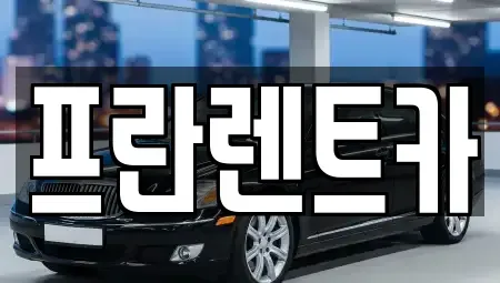 경기 양주시 광적면 렌트카 전문 프란렌트카