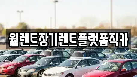 경기 양주시 광적면 장기렌트카 전문 월렌트장기렌트플랫폼직카