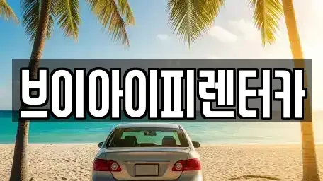 경기 오산시 내삼미동 렌트카 전문 브이아이피렌터카