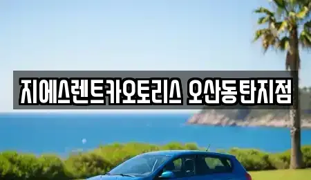경기 오산시 내삼미동 렌트카 전문 지에스렌트카오토리스 오산동탄지점