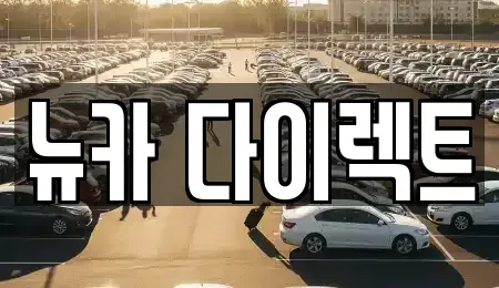 경기 오산시 내삼미동 장기렌트카 전문 뉴카 다이렉트