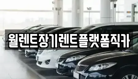 경기 오산시 내삼미동 장기렌트카 전문 월렌트장기렌트플랫폼직카