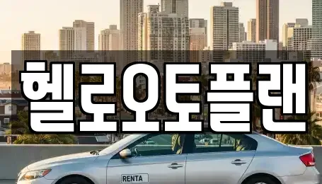 경기 오산시 내삼미동 장기렌트카 전문 헬로오토플랜