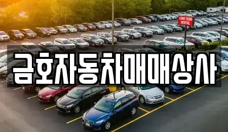 경기 오산시 내삼미동 중고차 전문 금호자동차매매상사