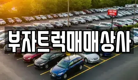 경기 오산시 내삼미동 중고차 전문 부자트럭매매상사