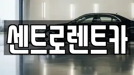 경기 용인시 렌트카 전문 센트로렌트카