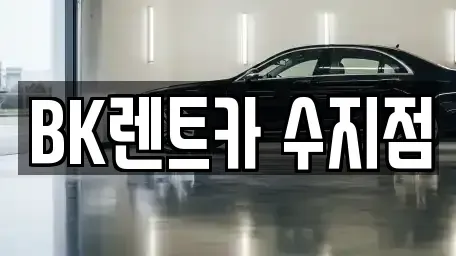 경기 용인시 수지구 죽전동 렌트카 전문 BK렌트카 수지점