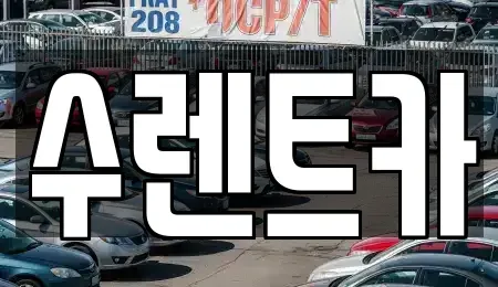 경기 용인시 수지구 죽전동 렌트카 전문 수렌트카