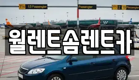 경기 용인시 수지구 죽전동 렌트카 전문 월렌트솜렌트카