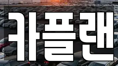 경기 용인시 수지구 죽전동 장기렌트카 전문 카플랜