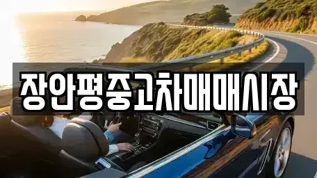 경기 용인시 수지구 죽전동 중고차매매 전문 장안평중고차매매시장