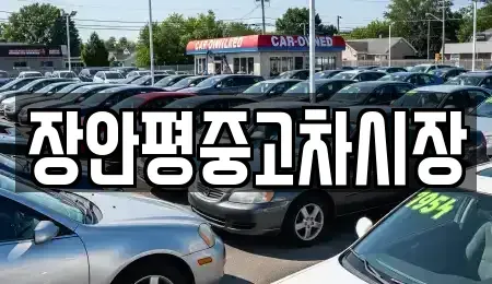 경기 용인시 수지구 죽전동 중고차매매 전문 장안평중고차시장