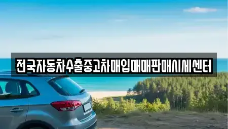 경기 용인시 수지구 죽전동 중고차매입 전문 전국자동차수출중고차매입매매판매시세센터