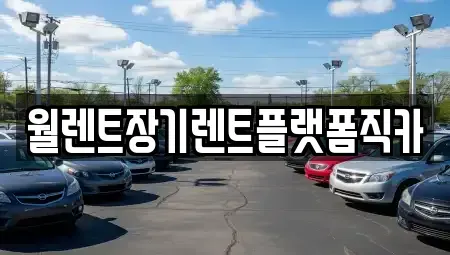 경기 용인시 장기렌트카 전문 월렌트장기렌트플랫폼직카