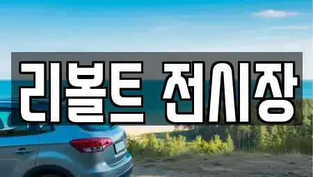 경기 용인시 중고차 전문 리볼트 전시장