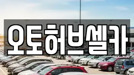 경기 용인시 중고차 전문 오토허브셀카