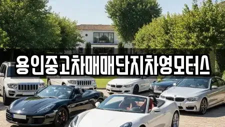 경기 용인시 중고차 전문 용인중고차매매단지차영모터스