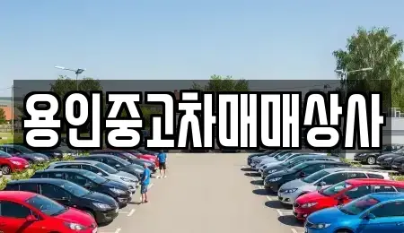 경기 용인시 중고차 전문 용인중고차매매상사