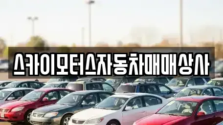 경기 용인시 중고차매매 전문 스카이모터스자동차매매상사