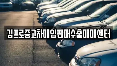 경기 용인시 중고차매입 전문 김프로중고차매입판매수출매매센터