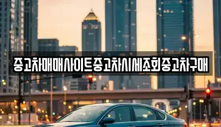 경기 이천시 대포동 중고차매매 전문 중고차매매사이트중고차시세조회중고차구매