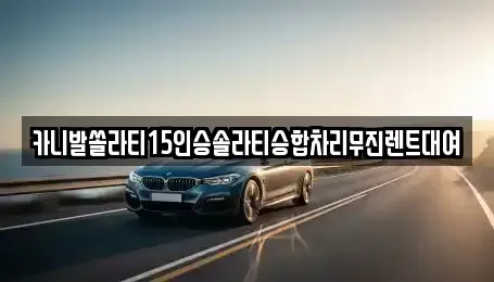 경기 파주시 아동동 렌트카 전문 카니발쏠라티15인승솔라티승합차리무진렌트대여
