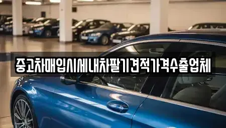 경기 파주시 아동동 중고차매입 전문 중고차매입시세내차팔기견적가격수출업체