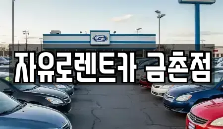 경기 파주시 와동동 렌트카 전문 자유로렌트카 금촌점