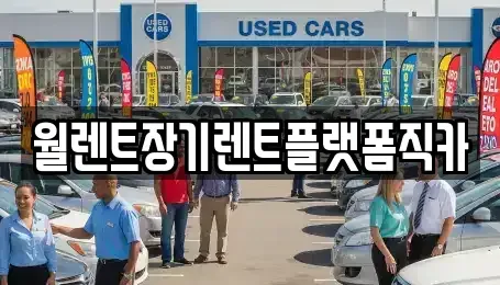 경기 파주시 장기렌트카 전문 월렌트장기렌트플랫폼직카