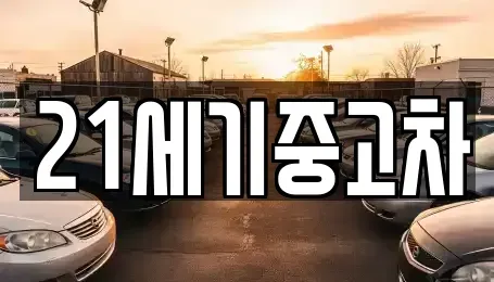 경기 파주시 중고차매매 전문 21세기중고차