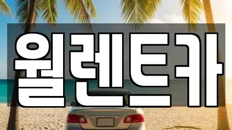 경기 평택시 가재동 렌트카 전문 월렌트카