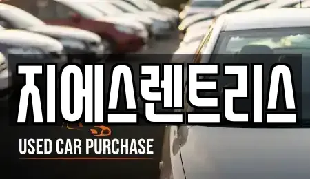 경기 평택시 가재동 렌트카 전문 지에스렌트리스