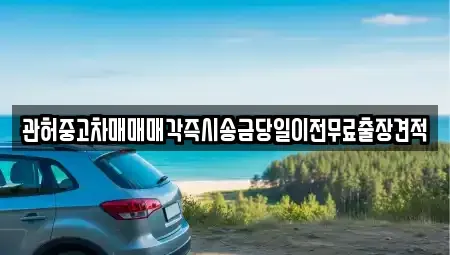 경기 평택시 가재동 중고차매매 전문 관허중고차매매매각즉시송금당일이전무료출장견적
