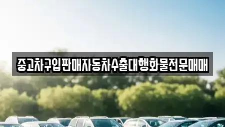경기 평택시 가재동 중고차매매 전문 중고차구입판매자동차수출대행화물전문매매