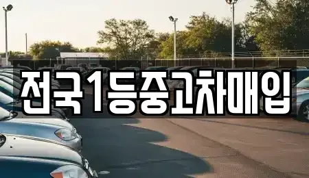 경기 평택시 가재동 중고차매입 전문 전국1등중고차매입