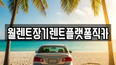 경기 평택시 신장동 렌트카 전문 월렌트장기렌트플랫폼직카
