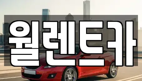 경기 평택시 신장동 렌트카 전문 월렌트카