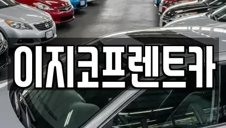 경기 평택시 신장동 렌트카 전문 이지코프렌트카