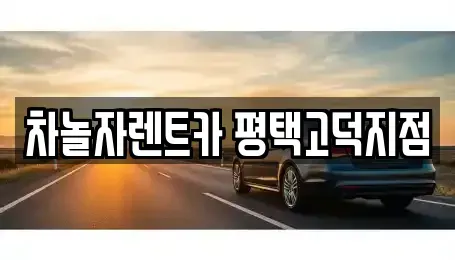 경기 평택시 이충동 렌트카 전문 차놀자렌트카 평택고덕지점