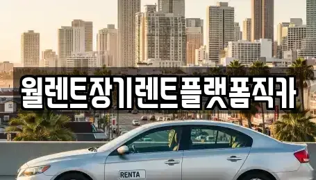 경기 평택시 이충동 장기렌트카 전문 월렌트장기렌트플랫폼직카