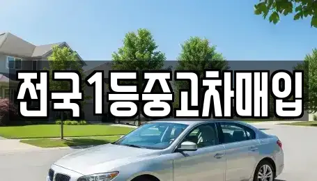 경기 평택시 이충동 중고차매매 전문 전국1등중고차매입