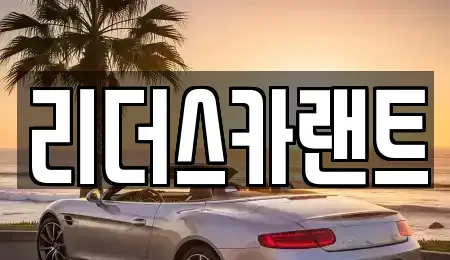 경기 하남시 신장동 장기렌트카 전문 리더스카랜트