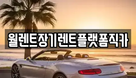 경기 하남시 신장동 장기렌트카 전문 월렌트장기렌트플랫폼직카