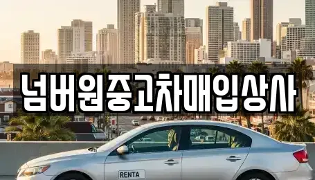 경기 하남시 신장동 중고차 전문 넘버원중고차매입상사