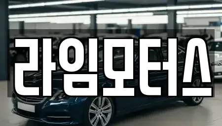 경기 하남시 신장동 중고차 전문 라임모터스