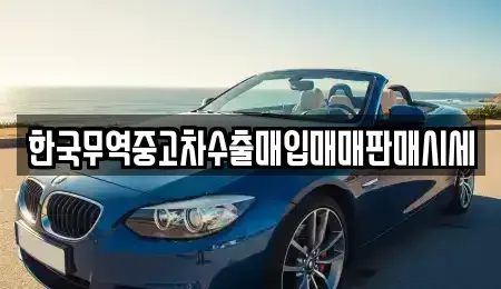 경기 하남시 신장동 중고차 전문 한국무역중고차수출매입매매판매시세