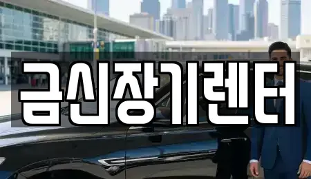 경기도 김포시 북변동 장기렌트카 전문 금신장기렌터