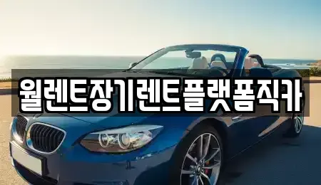 경기도 김포시 운양동 렌트카 전문 월렌트장기렌트플랫폼직카