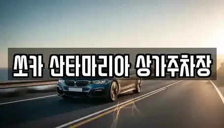 경기도 김포시 운양동 장기렌트카 전문 쏘카 산타마리아 상가주차장